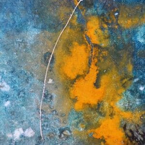 III. UNIVERSO