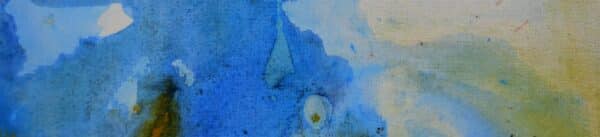 VII. MADRE AGUA II